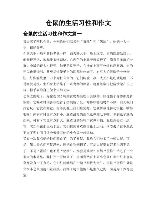 仓鼠的生活习性和作文