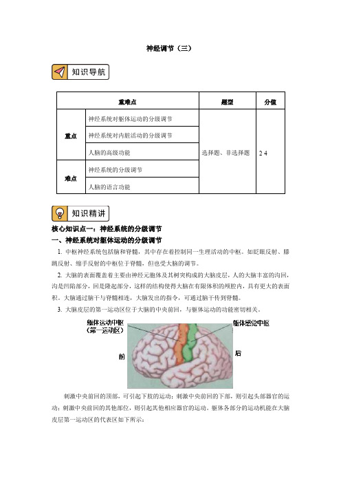 选择性必修1 第2章 神经调节 第四、五节