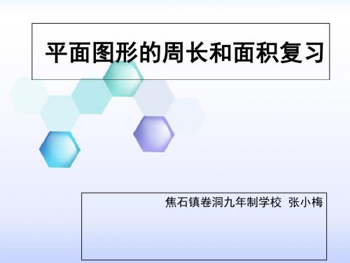 平面图形的周长和面积复习修改课件第三次再次修改