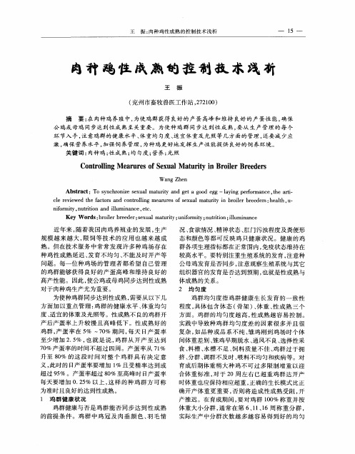 肉种鸡性成熟的控制技术浅析