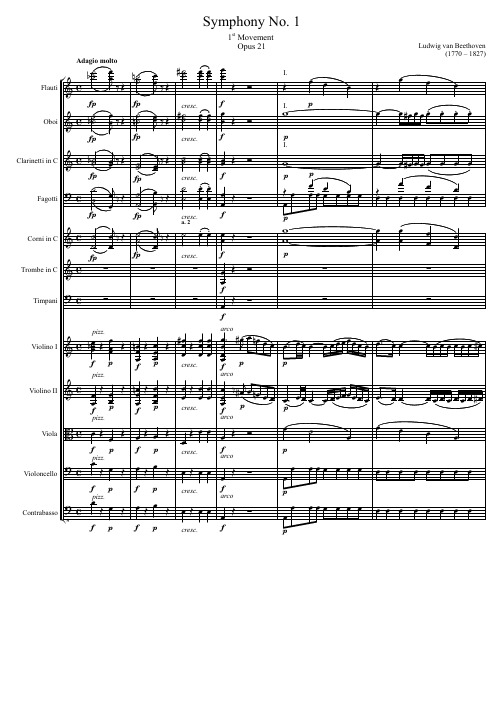 Symphony No. 1 1st Movement 贝多芬第一交响曲 第一乐章