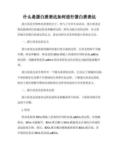 什么是蛋白质表达如何进行蛋白质表达