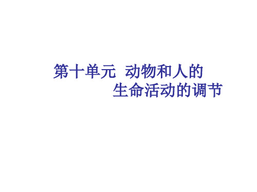 高中生物必修三动物和人的生命活动的调节