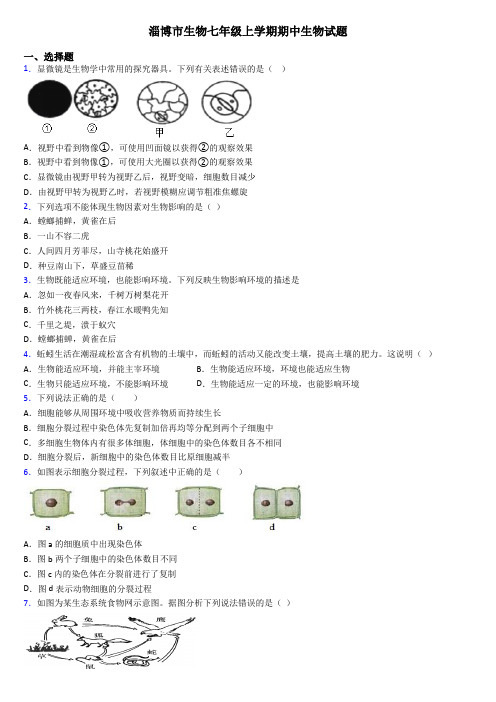 淄博市生物七年级上学期期中生物试题