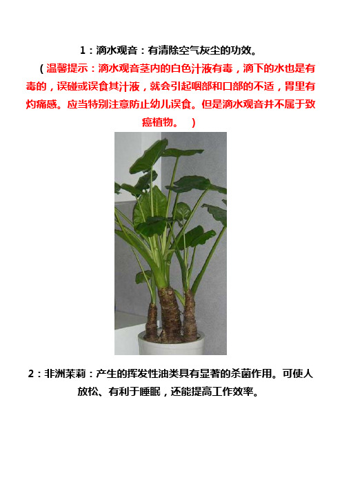 18种带给你健康的室内植物