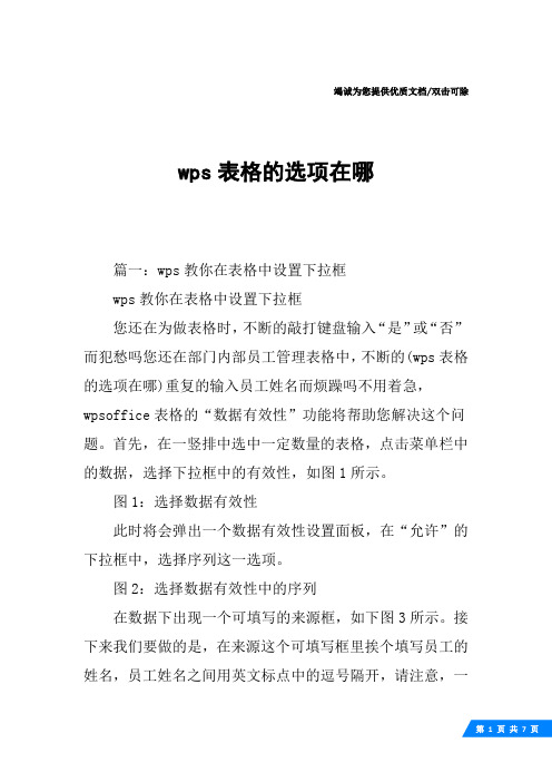 wps表格的选项在哪