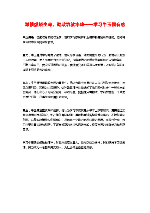 激情燃烧生命,勤政筑就丰碑——学习牛玉儒有感