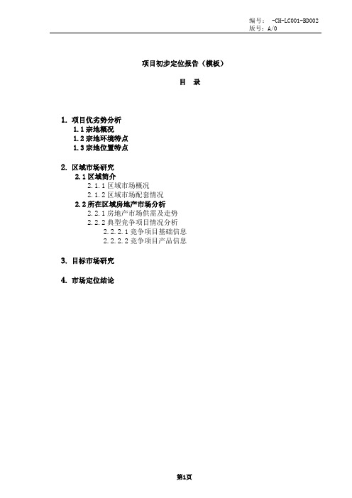 项目初步定位报告