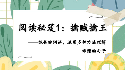 统编版三年级语文下册总复习——阅读秘笈1、2：擒贼擒王、火眼金睛