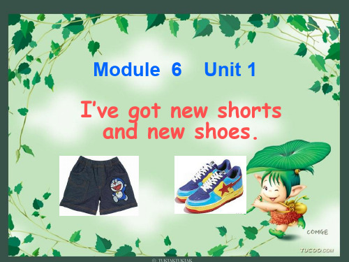 外研版一年级起点三年级上册英语《Module 6 Unit 1 I've got new shorts》(一等奖课件)