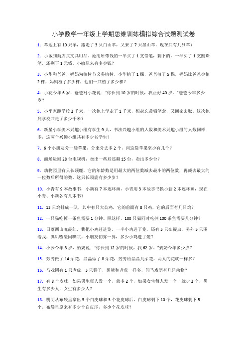 小学数学一年级上学期思维训练模拟综合试题测试卷