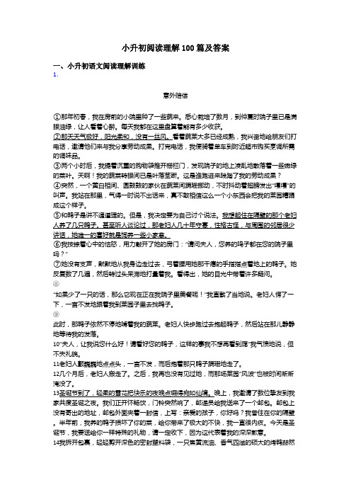 小升初小升初阅读理解100篇及答案