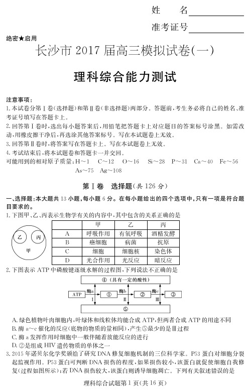 长沙市2017届高三模拟试卷一(理综试卷)