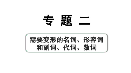 2024杭州中考英语二轮复习 专题二 第1讲 名词(课件)