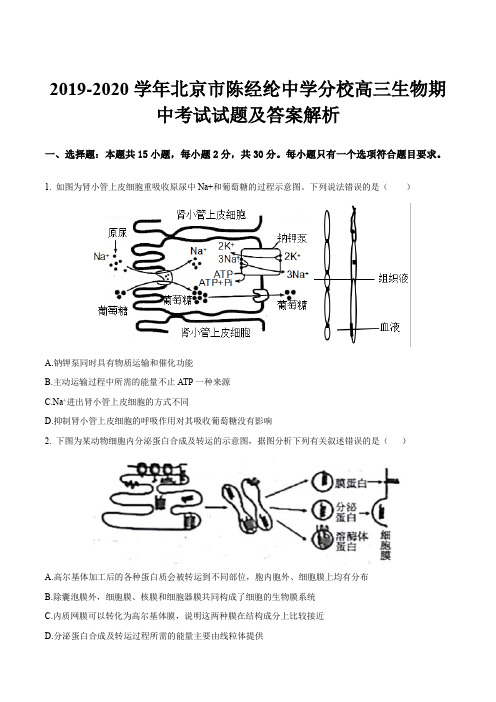 2019-2020学年北京市陈经纶中学分校高三生物期中考试试题及答案解析