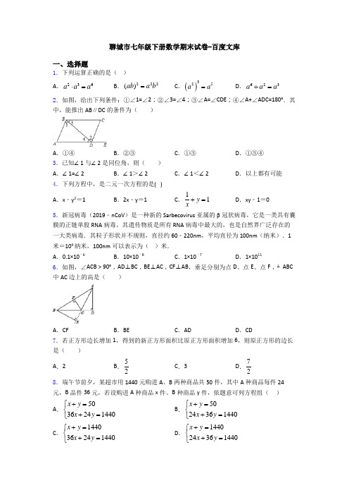 聊城市七年级下册数学期末试卷-百度文库