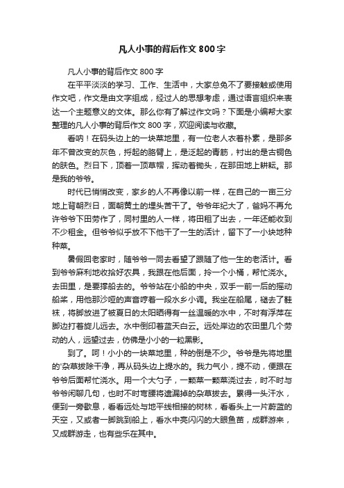 凡人小事的背后作文800字