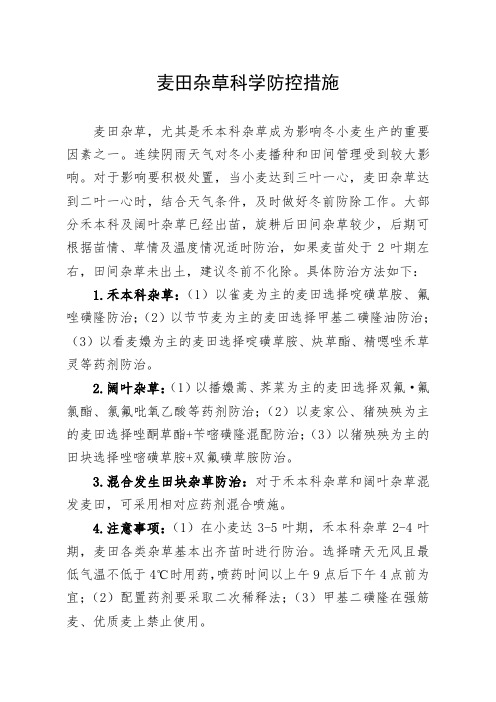 小麦田杂草科学防控措施