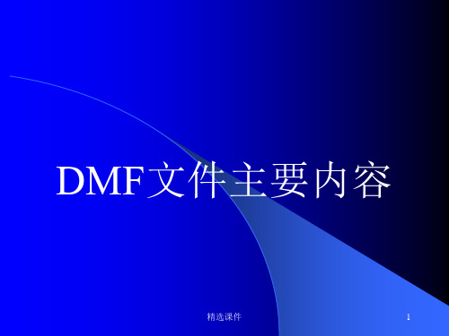 DMF文件主要内容