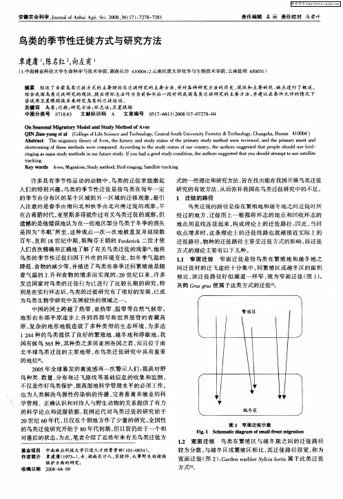 鸟类的季节性迁徙方式与研究方法