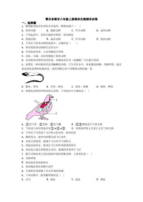 鄂尔多斯市八年级上册期末生物期末试卷