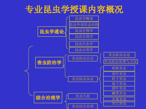 专业昆虫学授课内容概况