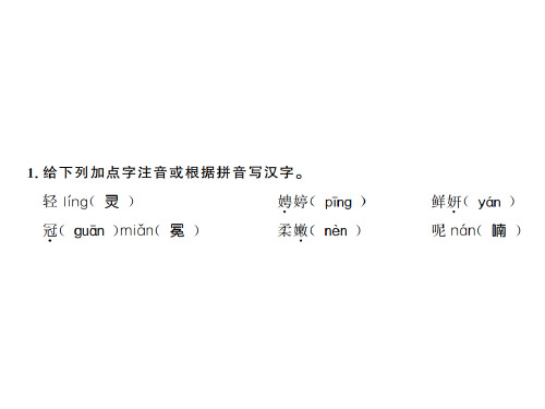 人教版九年级语文上(黄冈)习题课件:4 (共24张PPT)