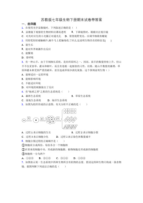 苏教版七年级生物下册期末试卷带答案