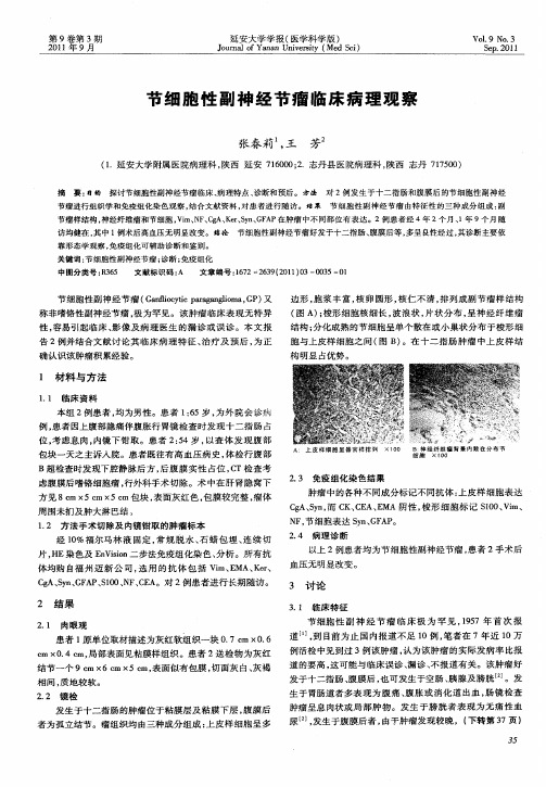 节细胞性副神经节瘤临床病理观察