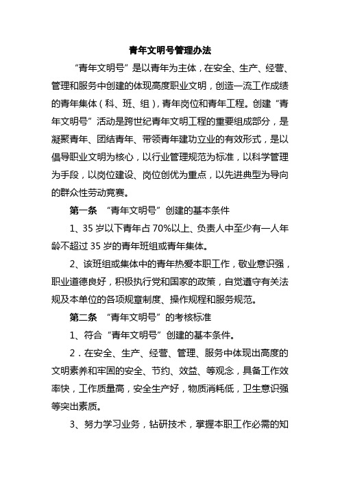 团总支青年文明号管理办法