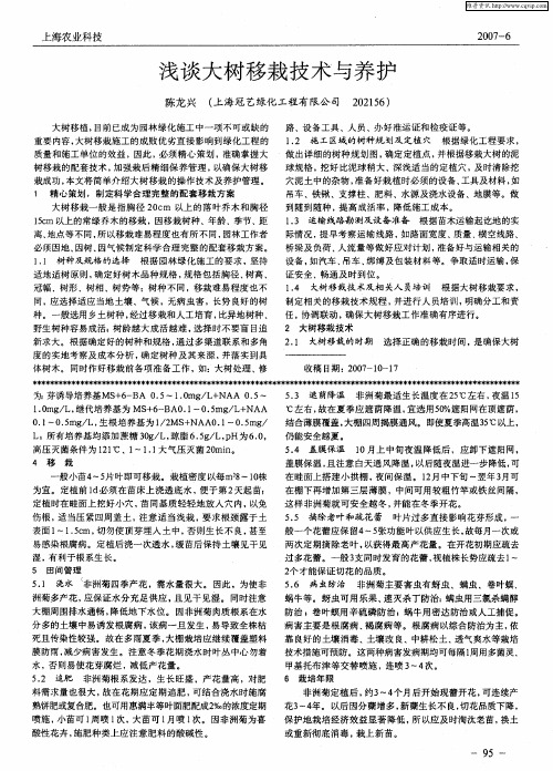 浅谈大树移栽技术与养护