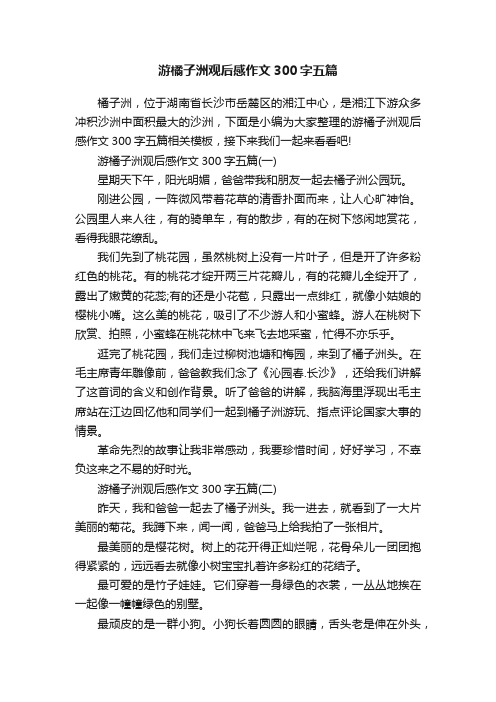 游橘子洲观后感作文300字五篇