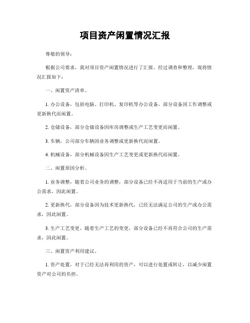 项目资产闲置情况汇报