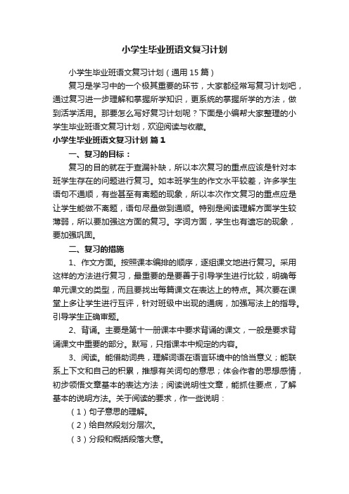 小学生毕业班语文复习计划