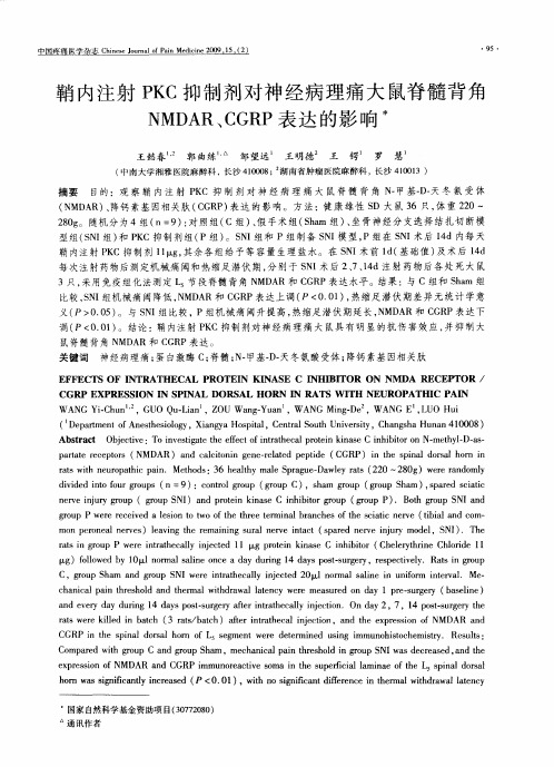 鞘内注射PKC抑制剂对神经病理痛大鼠脊髓背角NMDAR、CGRP表达的影响