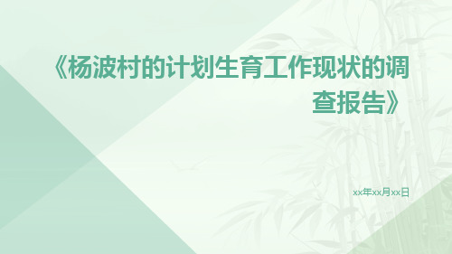 杨波村的计划生育工作现状的调查报告