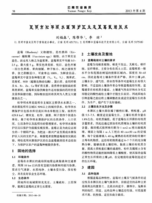 昆明市松华坝水源保护区生态蓝莓栽培技术
