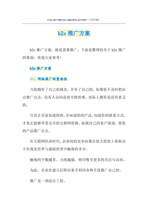 b2c网站推广方案