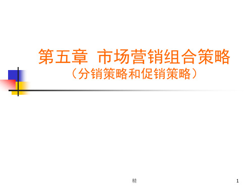 市场营销组合策略(分销策略和促销策略)课件