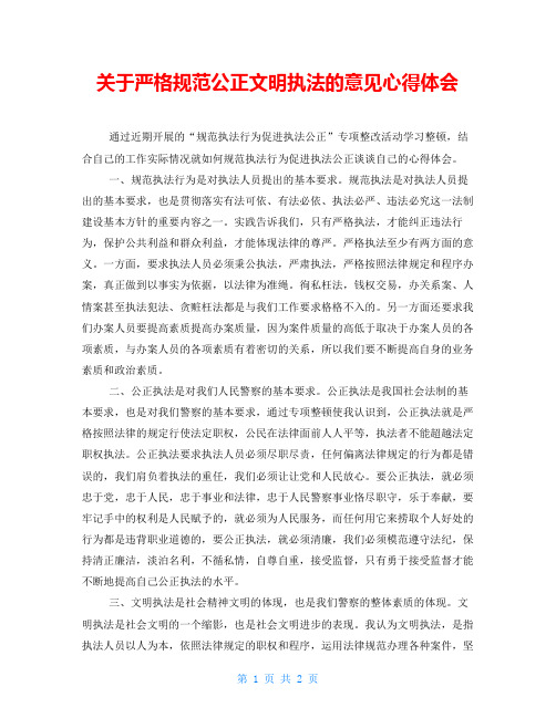 关于严格规范公正文明执法的意见心得体会