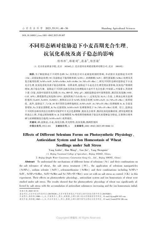 不同形态硒对盐胁迫下小麦苗期光合生理、抗氧化系统及离子稳态的影响