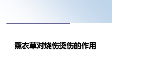 【精选】薰衣草对烧伤烫伤的作用PPT课件