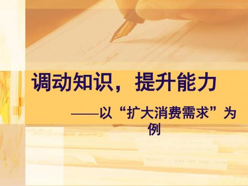 2019年高考政治二轮专题复习课件：扩大消费需求