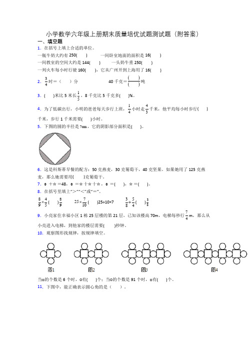 小学数学六年级上册期末质量培优试题测试题(附答案)