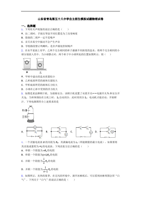 山东省青岛第五十八中学自主招生模拟试题物理试卷