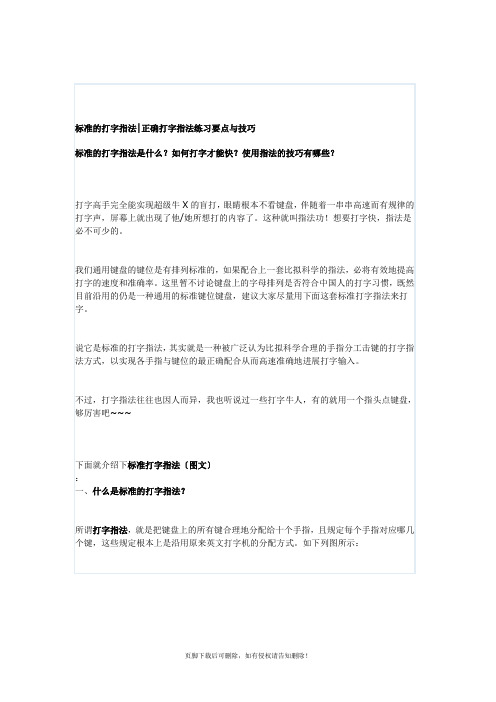 标准的打字指法正确打字指法练习要点与技巧