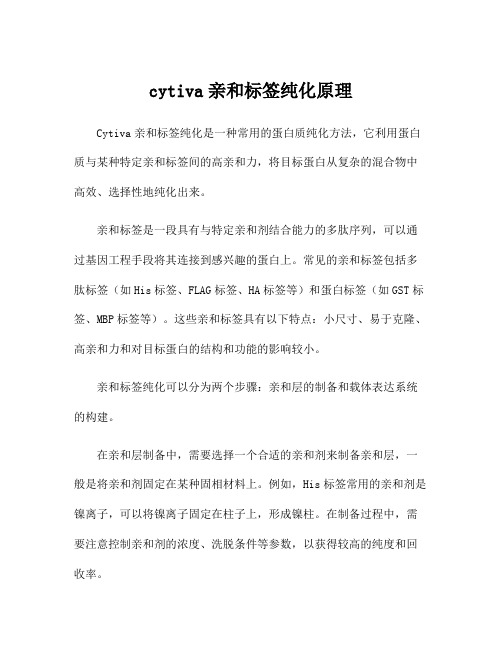 cytiva亲和标签纯化原理