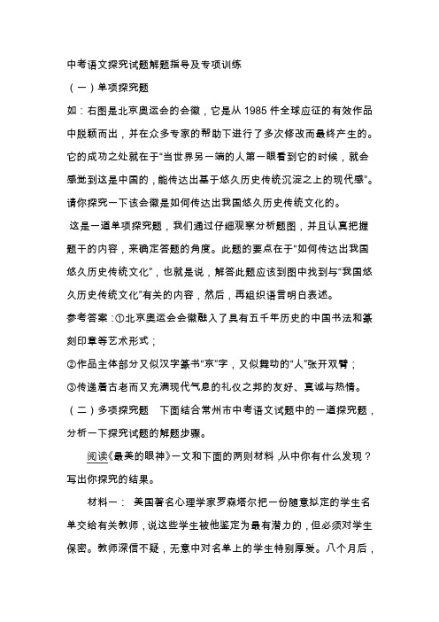 中考语文探究试题解题指导及专项训练试题