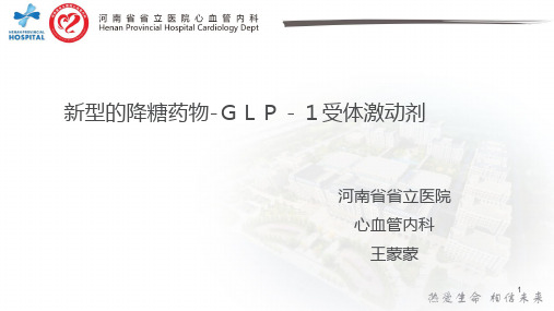 新型的降糖药物-GLP-1受体激动剂PPT参考幻灯片