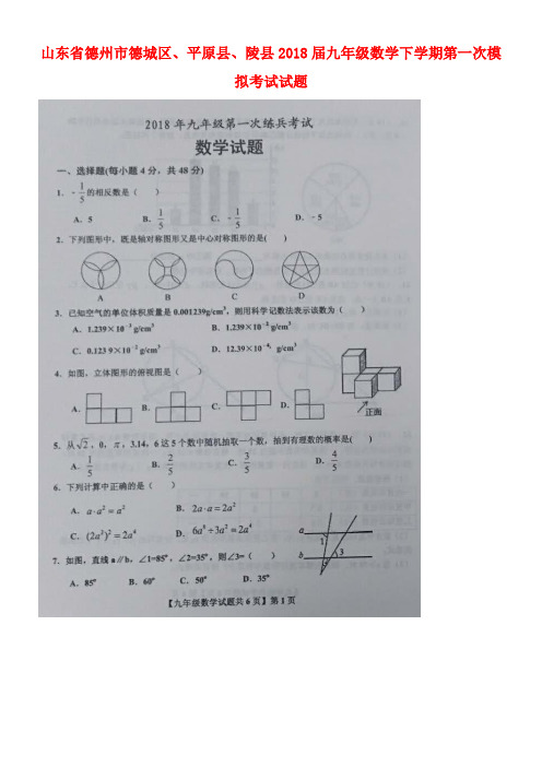 山东省德州市德城区、平原县、陵县2018届九年级数学下学期第一次模拟考试试题(扫描版)